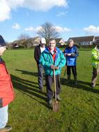 Planting trees in Immingham ,Coomb Park